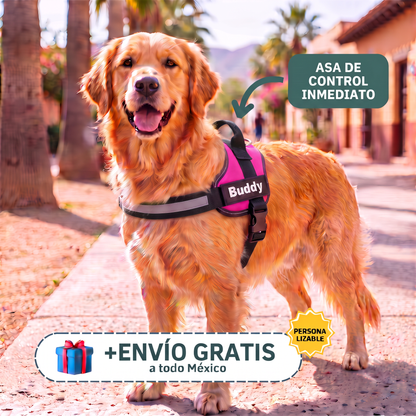 Paw & Calm™ Control y Calma